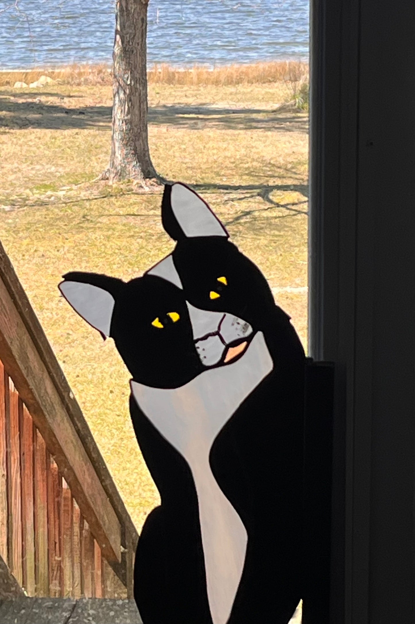 Curious Companion
