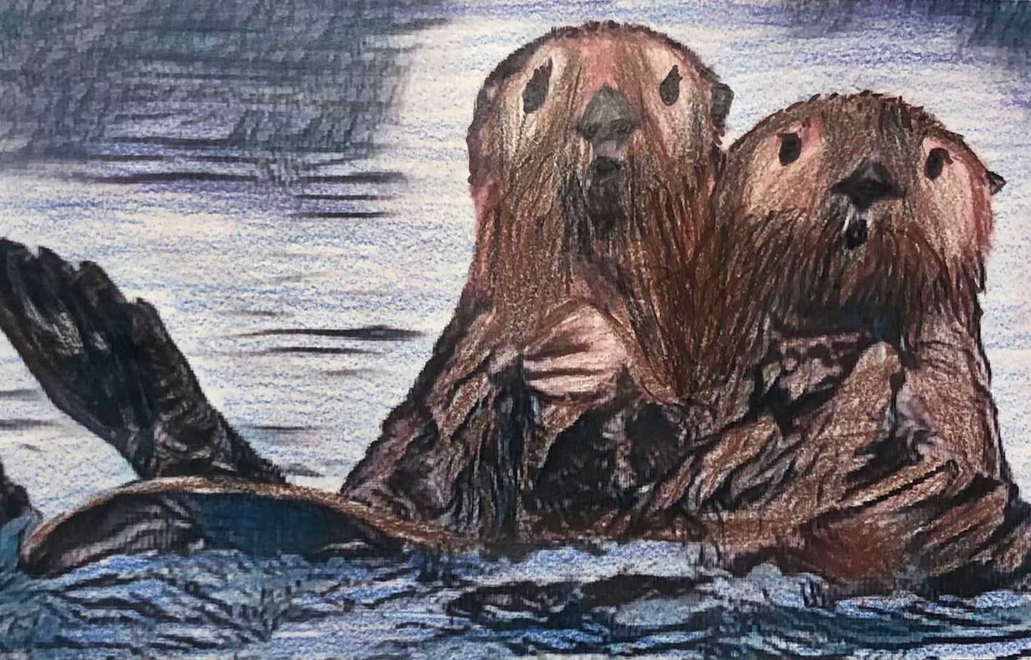 Otter Buddies