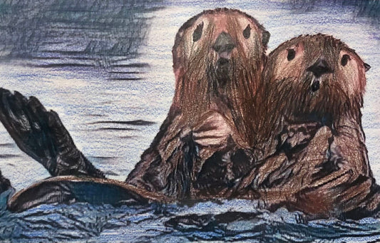 Otter Buddies