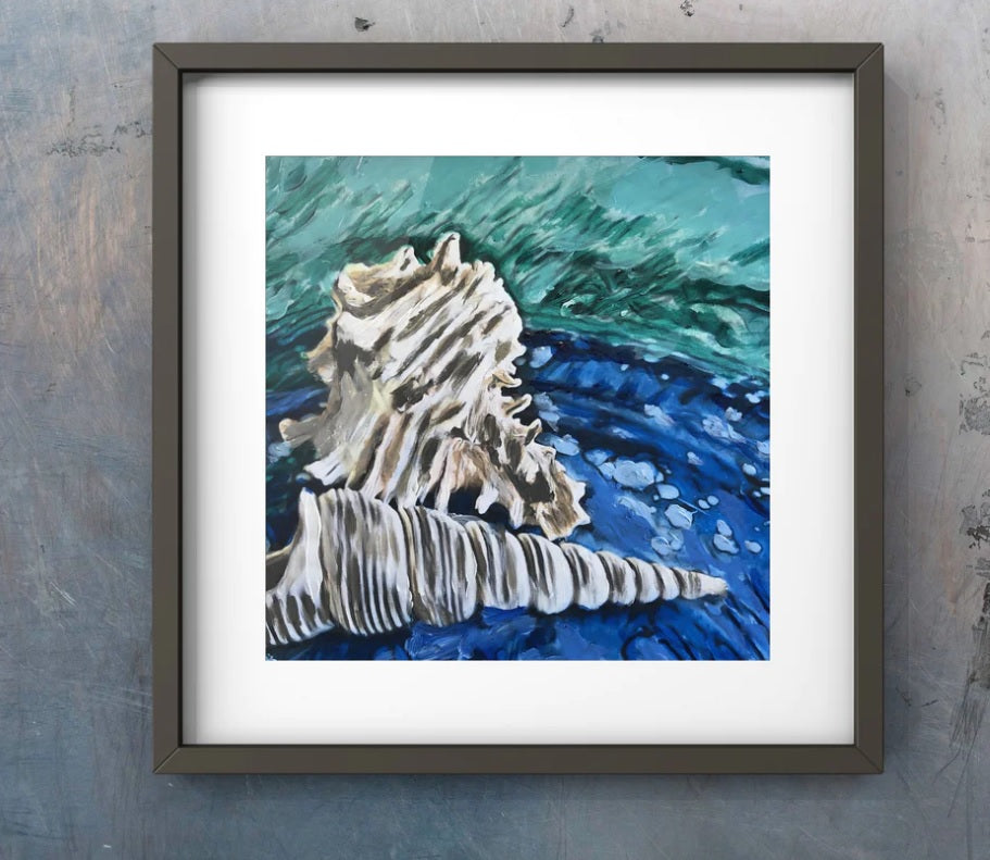 Swirly Shells