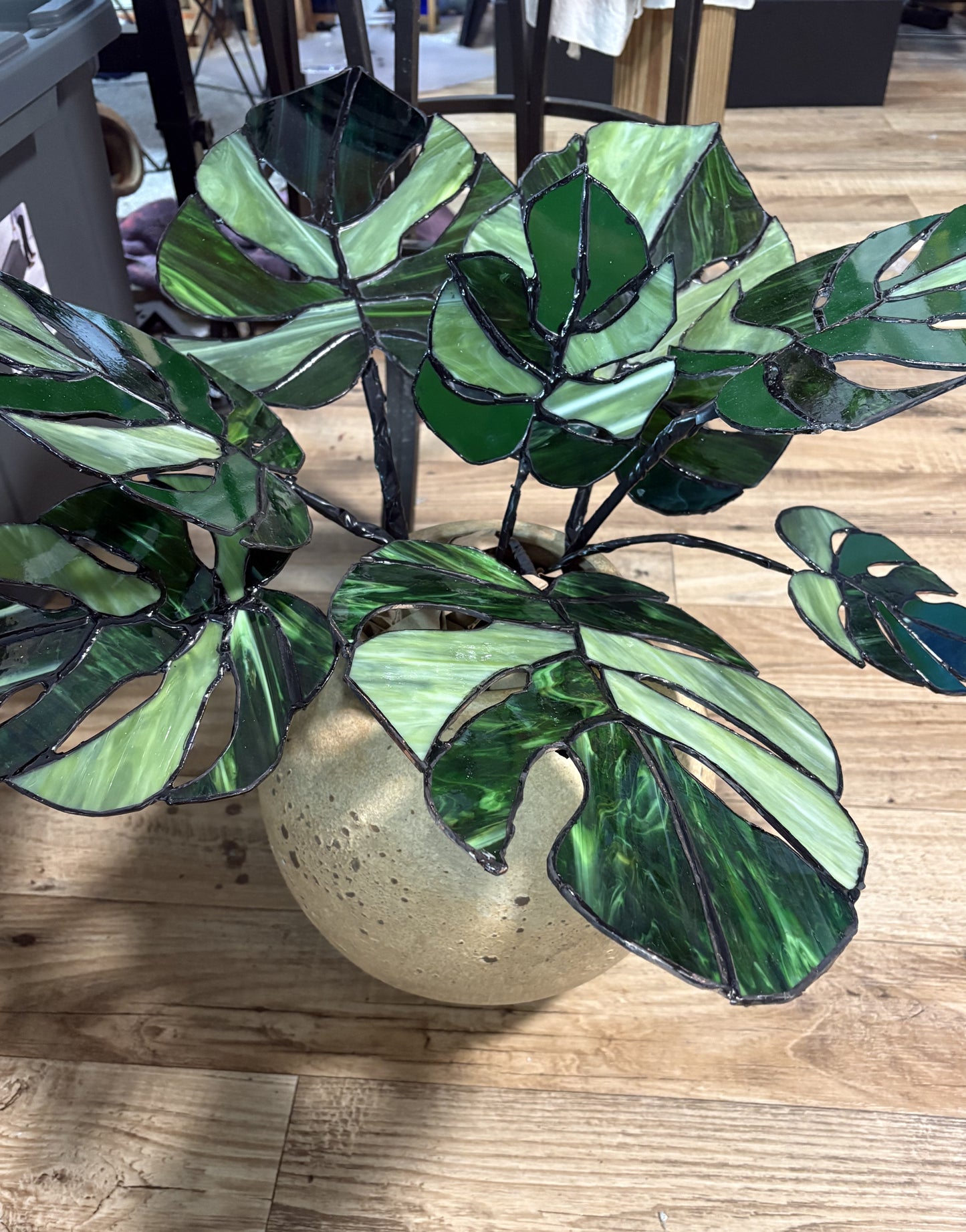 Magnificent Monstera