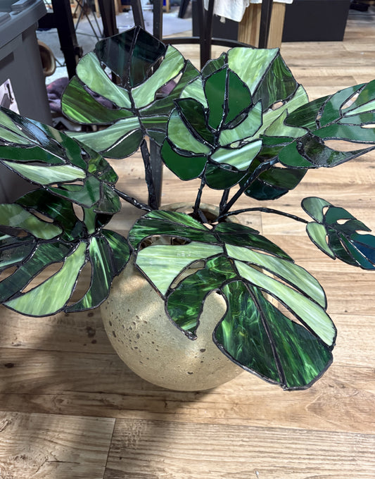 Magnificent Monstera