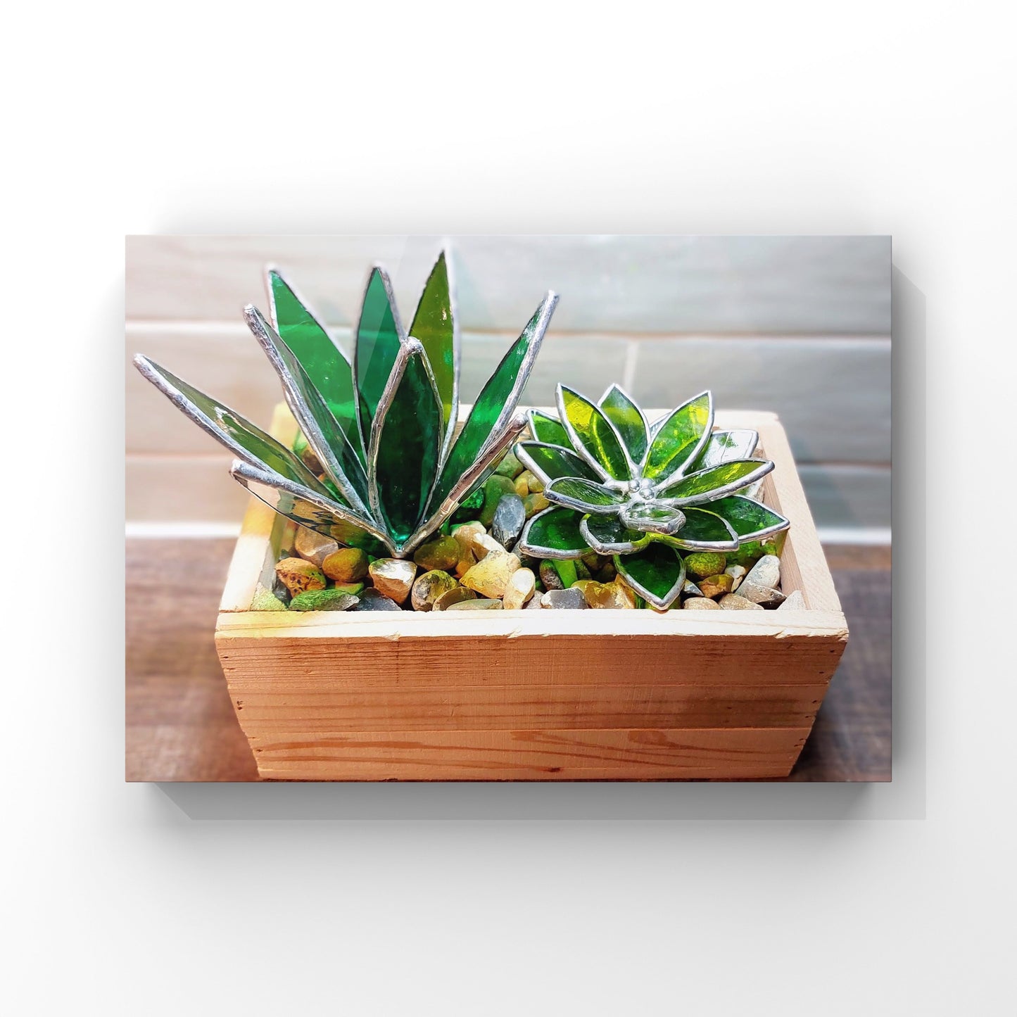 3D Succulents