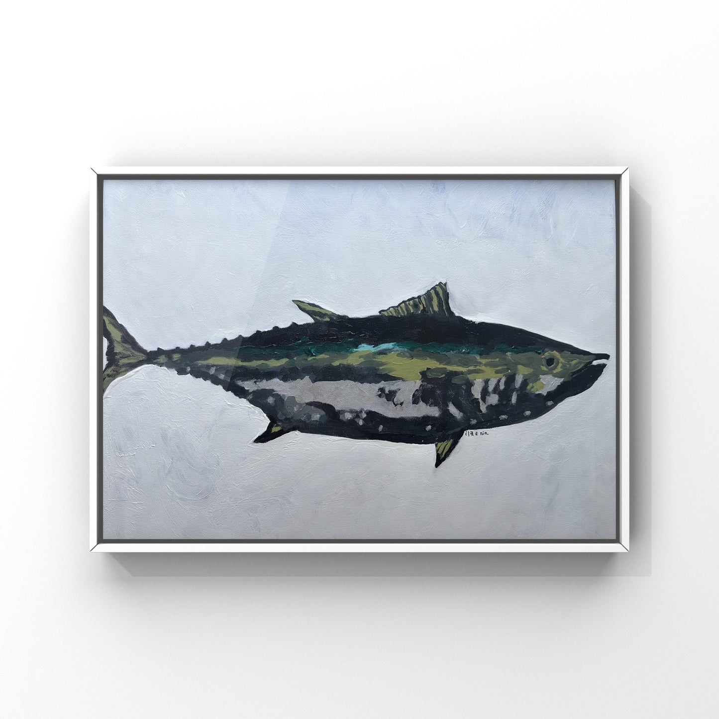 Andy's Amberjack