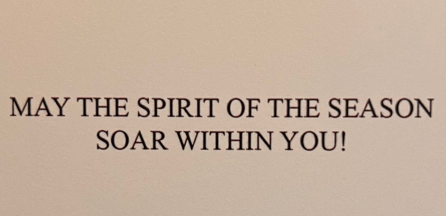 Soaring Spirit (24 Cards and 24 Envelopes)