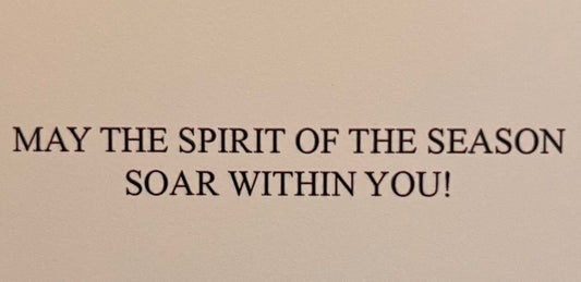 Soaring Spirit (24 Cards and 24 Envelopes)