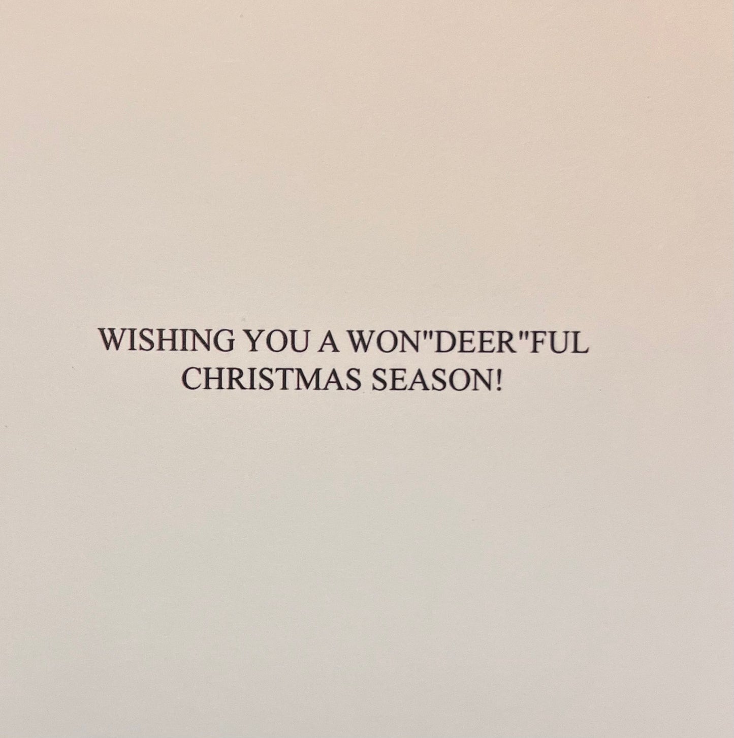 Wishing You a Won"deer"ful Christmas! (24 Cards and 24 Envelopes)